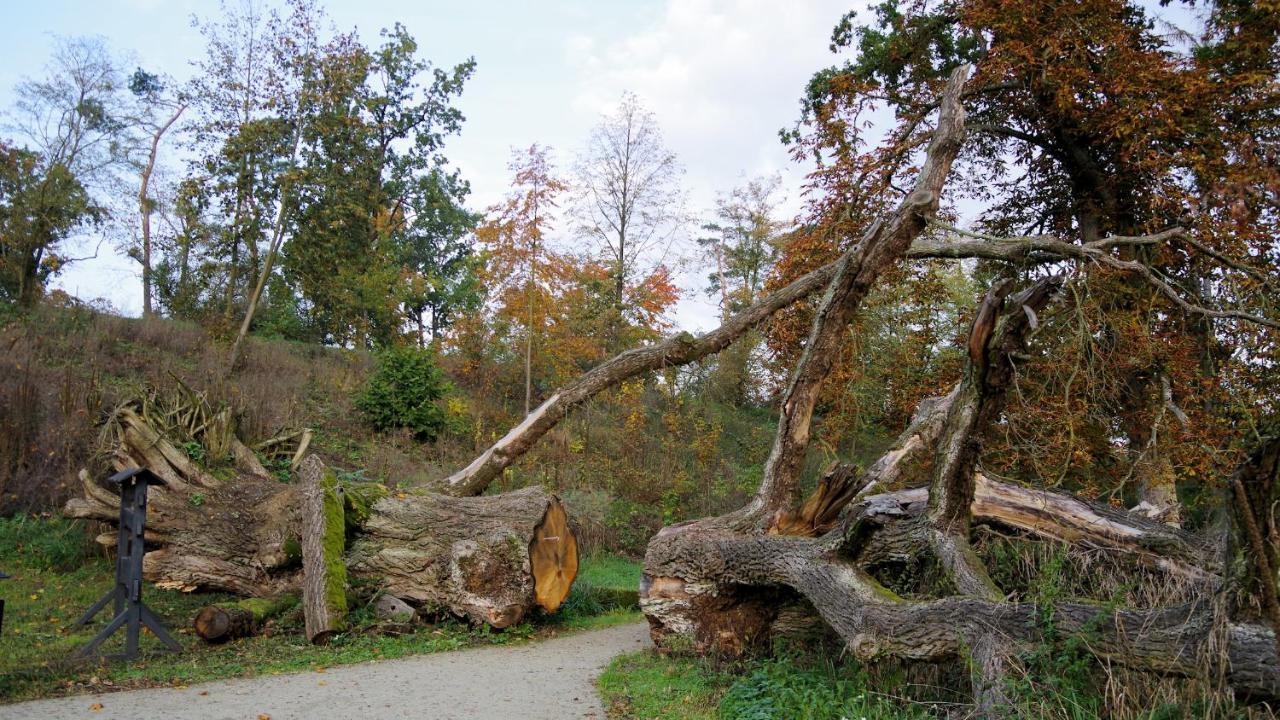 Palac Komierowo Sępólno Krajeńskie 外观 照片